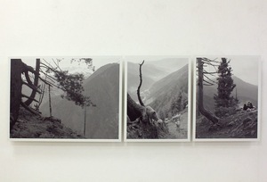 I. Maldžiūnas. From the series LA MA YU RU. 2011