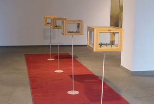 E. Markūno parodos „Prieblandos zona“ fragmentas