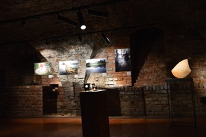 Parodos fragmentas. Karolinos Maselskytės nuotr.