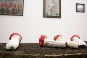 A. Vaitkūnienės paroda „Gamtos gurmano kabinetas“. Airidos Rekštytės nuotr. A. Vaitkūnienės paroda „Gamtos gurmano kabinetas“. Airidos Rekštytės nuotr.