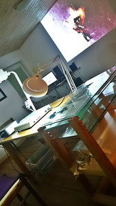 Iš A. ir D. Petrulių studijos