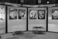 Personalinės parodos „Stiklo logika“ ekspozicija Kauno pilyje, 2016. Darbai iš ciklų „Miegantys laike“, „Balti veidai“.