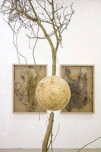 A. Vaitkūnienės paroda „Gamtos gurmano kabinetas“. Airidos Rekštytės nuotr.