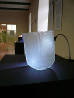 Joannos Kasperkiewicz kūrinys