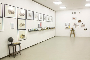 A. Vaitkūnienės paroda „Gamtos gurmano kabinetas“. Airidos Rekštytės nuotr. A. Vaitkūnienės paroda „Gamtos gurmano kabinetas“. Airidos Rekštytės nuotr.