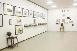 A. Vaitkūnienės paroda „Gamtos gurmano kabinetas“. Airidos Rekštytės nuotr.