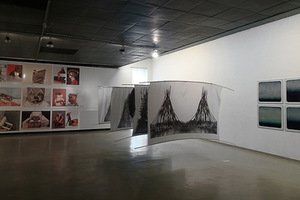 Parodos „Fragmento evoliucija“ ekspozicija