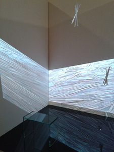 Julija Pociūtė. Four empty walls. Project's supervisor Assoc. Prof. Rima Mulevičiūtė. 2007