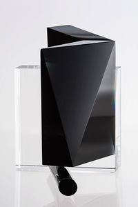 Angelina Pavlova, Bulgaria, A Try to Fly, 2015-2016