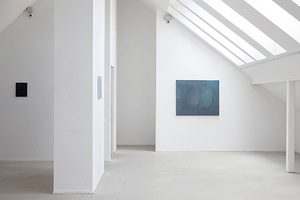 Exposition fragment from the exhibition "Something like that" at the gallery Meno Parkas.