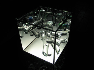 Nijolė Kovaitė. Ardor. Project's supervisor Assoc. Prof. Rima Mulevičiūtė. 2008