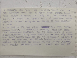 Peržiūrų metu kūrinį lydėjęs tekstas