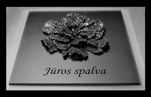 Sigita Gaučienė. Silvia's colors. Project's supervisor Assoc. Prof. Arūnas Daugėla. 2011