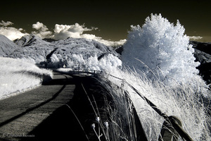 Gintaras Jaronis. Iš ciklo „Kelionių fragmentai / Infraraudonoji fotografija“. 2014–2015 m.