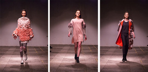 Evelina Kovalenkinaitė (Kauno kolegija), kolekcija „Netiražuojama“