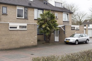 Andrius Kriaučiūnas. PalmBoom.