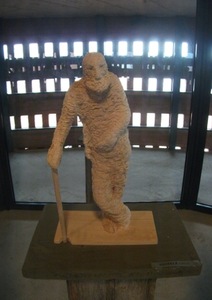 L. Strioga L. Strioga