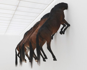 M. Catelan. Paroda „Kaputt“. Žirgai sienoje, 2007 m. Bazelis, Šveicarija. Serge Hasenböhler nuotr. M. Catelan. Paroda „Kaputt“. Žirgai sienoje, 2007 m. Bazelis, Šveicarija. Serge Hasenböhler nuotr.