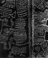 D. Maleckienės darbas iš serijos „Fotografikos abstrakcijos“. 2010–2015, 50x40 cm