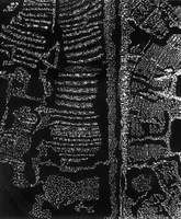 D. Maleckienė piece from series "Photographic abstractions." 2010 - 2015, 50 x 40 cm.