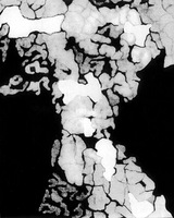 D. Maleckienės darbas iš serijos „Fotografikos abstrakcijos“. 2010–2015, 50x40 cm