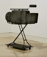 DOLLY, 2008, instaliacija.