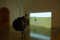 DOLLY, 2008, instaliacija.