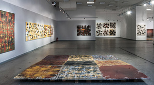 Fragments of E. Varkulevičius-Varkalis' exhibition. Rymantas Penkauskas' photo.