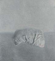 FACTS OF INEXISTENCE, 2005, 119 x 117, dr., al.