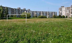 Evelinos Šimkutės fotografija, 2012 m.