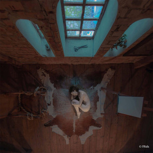 Iridijus Švelnys. „Virsmo apogėjus“, Kaunas, 2016 m.