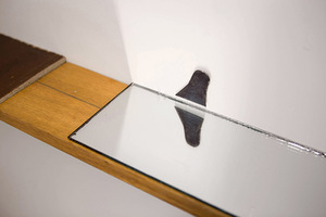 P. Ramanausko ir R. Sorakaitės parodos „Kamertono aidas“ fragmentas P. Ramanausko ir R. Sorakaitės parodos „Kamertono aidas“ fragmentas