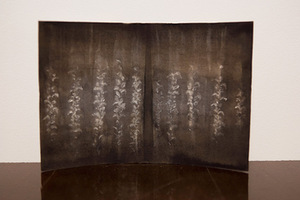 P. Ramanausko ir R. Sorakaitės parodos „Kamertono aidas“ fragmentas P. Ramanausko ir R. Sorakaitės parodos „Kamertono aidas“ fragmentas