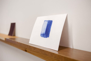 Fragment from P. Ramanauskas and R. Sorakaitė's exhibition Tonometer's echo Fragment from P. Ramanauskas and R. Sorakaitė's exhibition Tonometer's echo