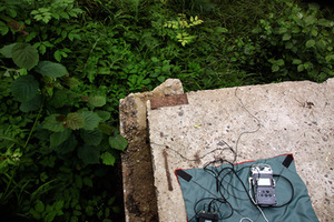 From J. Jarulytė's project Lithuanian North. Photo from the artist's archive