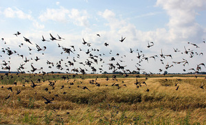 Iš J. Jarulytės projekto „Lietuvos Šiaurė“. Menininkės archyvo nuotr.