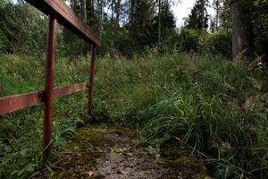 Iš J. Jarulytės projekto „Lietuvos Šiaurė“. „Elnių slėnis“. Menininkės archyvo nuotr.