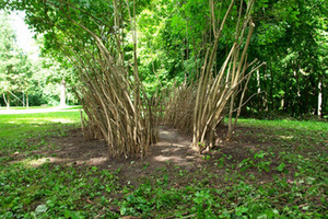 Vincenzo Antonuccio ir Marilena Calbini iš Italijos nuošaliai augusį krūmą papildė savo nuožiūra, suteikdami jam naują formą Vincenzo Antonuccio ir Marilena Calbini iš Italijos nuošaliai augusį krūmą papildė savo nuožiūra, suteikdami jam naują formą