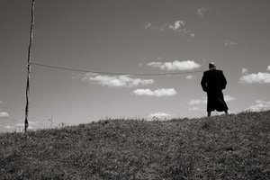 A. Griškevičius. „Jautis“, 2006