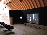 JODINĖJIMAS PRINCIPAIS (pagal Theodoro Fontanes  "Ef? Bryst"), 2009, video.