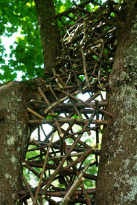 Tarp dviejų šakų įsispraudęs kanadiečių Marc Bergeron ir France Provenceher darbas Tarp dviejų šakų įsispraudęs kanadiečių Marc Bergeron ir France Provenceher darbas