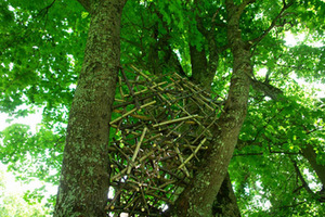 Tarp dviejų šakų įsispraudęs kanadiečių Marc Bergeron ir France Provenceher darbas Tarp dviejų šakų įsispraudęs kanadiečių Marc Bergeron ir France Provenceher darbas