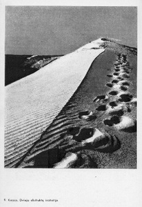 P. Karpavičius, Handbook of Photography