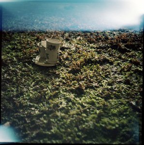 M. Kiaušaitė. „Kasdienybės“