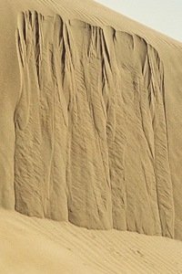 Photograph by F. Kerpauskas