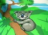 Donatas Mockus. KOALA