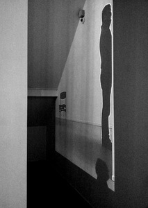 Kristina Valasevičienė. „Šviesoraščiai“