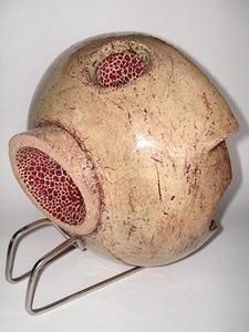 'Fractured Head' 'Fractured Head'