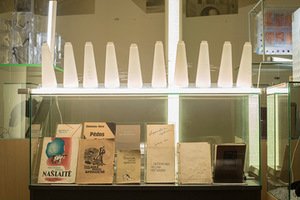 „Salomėjos genomas“. Miko Zabiulionio nuotr. „Salomėjos genomas“. Miko Zabiulionio nuotr.