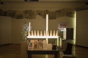 „Salomėjos genomas“. Miko Zabiulionio nuotr. „Salomėjos genomas“. Miko Zabiulionio nuotr.